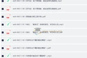 吴士宏 教练式领导力 （完结）