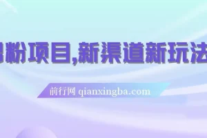 男粉项目，一个作品变现1000+，新渠道新玩法，一部手机实现月入过万
