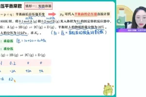 2024高二化学反应原理尖端班（直播+视频+讲义）