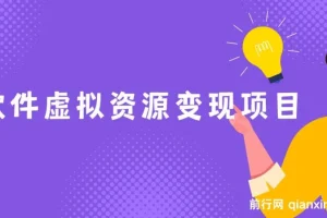 全网引流，软件虚拟资源变现项目，日入1000＋