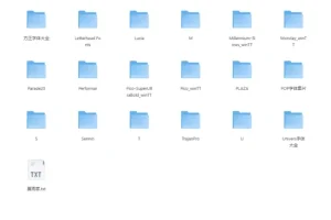《设计师必备十万字体库》精选大方实用好字体 收藏一次用一辈子