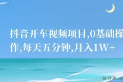 抖音开车视频项目，0基础操作，每天五分钟，月入1W+