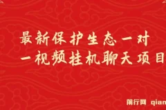 最新保护生态一对一视频挂机聊天项目，单窗口一天最少50+
