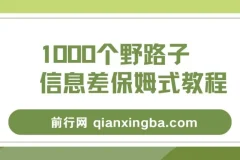 1000个野路子信息差保姆式教程,单日变现3000+的玩法解密