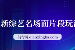 最新综艺名场面片段玩法，明星自带流量，日入200+，小白可做