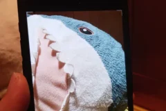 跟全球iPhone摄影大赛冠军学手机摄影，随手惊艳朋友圈