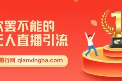 欲罢不能的无人直播引流，超暴力日引流1000+高质量精准创业粉