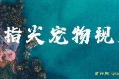 指尖宠物视频，1条视频涨粉1700，单日变现5000+