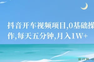 抖音开车视频项目，0基础操作，每天五分钟，月入1W+