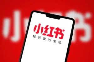 小红书近期爆火的《100部名著精读笔记》 绘本