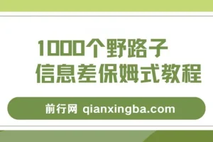 1000个野路子信息差保姆式教程,单日变现3000+的玩法解密
