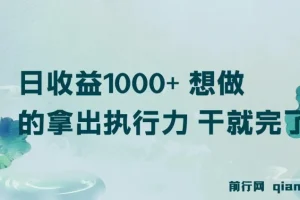 日收益1000+ 想做的拿出执行力 干就完了