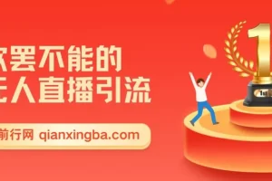 欲罢不能的无人直播引流，超暴力日引流1000+高质量精准创业粉