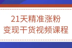 【21天精准涨粉变现干货视频课程】