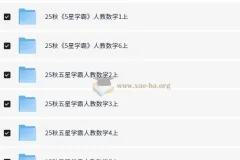 小学数学 5星学霸 人教 25秋