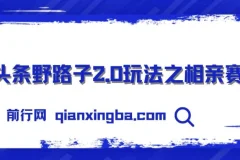 微头条野路子2.0玩法之相亲赛道，无脑搬砖复制粘贴，单账号日稳定300+