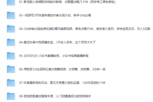 《2025最新网创项目合集》事业赚钱必学教程[MP4]