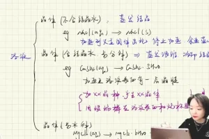 张梅高考化学二轮冲刺班：金属非金属/离子反应/电化学专题