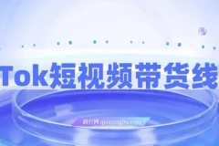 TikTok短视频带货线上课，深挖TK投流达人打法
