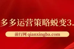 2024拼多多运营策略蜕变3.0-提升拼多多认知、制定运营策略、实现盈利收割等