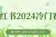 小红书2024冷门赛道，月入3万+， 暴力变现4.0， 纯小白喂饭级
