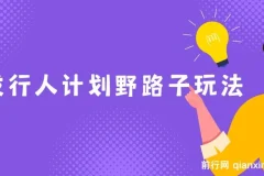 发行人计划野路子玩法，一单35，一天3000+，一部手机即可操作