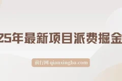 2025年最新项目【派费掘金计划】操作简单，日入2000+