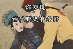 历朝历代野史秘史合集