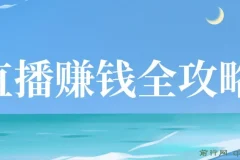 直播赚钱全攻略