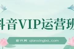 抖音VIP运营班