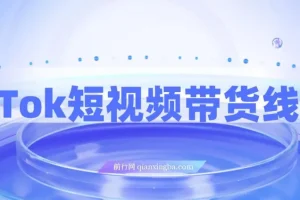 TikTok短视频带货线上课，深挖TK投流达人打法