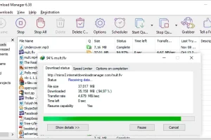 Internet Download Manager v6.42.11中文特别版(IDM)