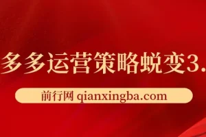2024拼多多运营策略蜕变3.0-提升拼多多认知、制定运营策略、实现盈利收割等