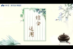 云舒写初中必考文言文40讲：高效掌握文言文考点