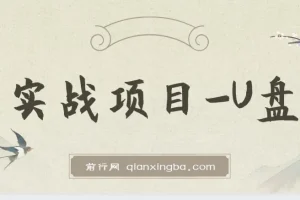 叁心笔记-实战项目-U盘