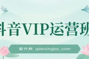 抖音VIP运营班