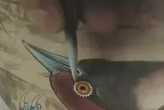 180讲工笔花鸟技法大全：牡丹/八哥/蝴蝶/禽鸟教学