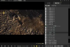 视频播放器 PotPlayer 240618(1.7.22265) 去广告绿色版