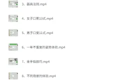 《吴么西两性教程：前戏口调情》