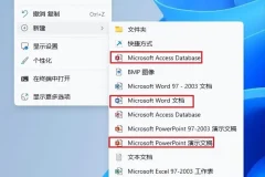 Office 2024 2016 2013 2010 2007 2003全系列精简版，很全！