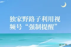 独家野路子利用视频号“强制提醒”，不需剪视频发作品，无脑操作就进流量，单日引流100+创业粉