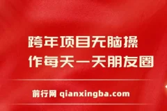 跨年项目无脑操作每天一天朋友圈日入200+