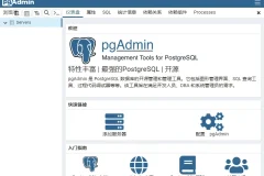 开源数据库管理平台 pgAdmin 4 v8.8 中文免费版