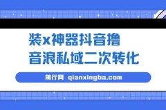 外面收费1980的风口项目，装x神器抖音撸音浪私域二次转化，单日轻松变现500+