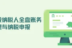 一般纳税人全盘账务处理与纳税申报