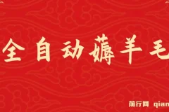 全自动薅羊毛项目，零门槛新手也能操作，适合工作室操作多平台赚更多
