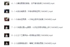 [影视飓风]只看8节课，用iPhone拍出电影感