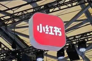 小红书虚拟电商14天变现训练营，虚拟产品，2025年普通人在小红书最后的搞钱机会