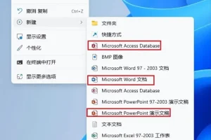 Office 2024 2016 2013 2010 2007 2003全系列精简版，很全！
