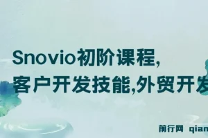 【精】Snovio初阶课程，客户开发技能，外贸开发信